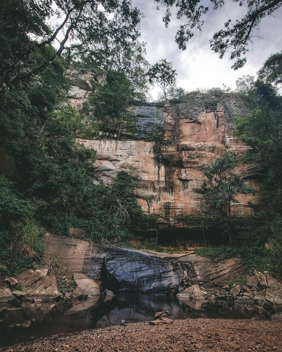 rodridiaz88's tweet photo. Hilo de lo que fotografié en la base del Salto Suizo (chorro😅) 📷 https://t.co/Lars5Q0af8