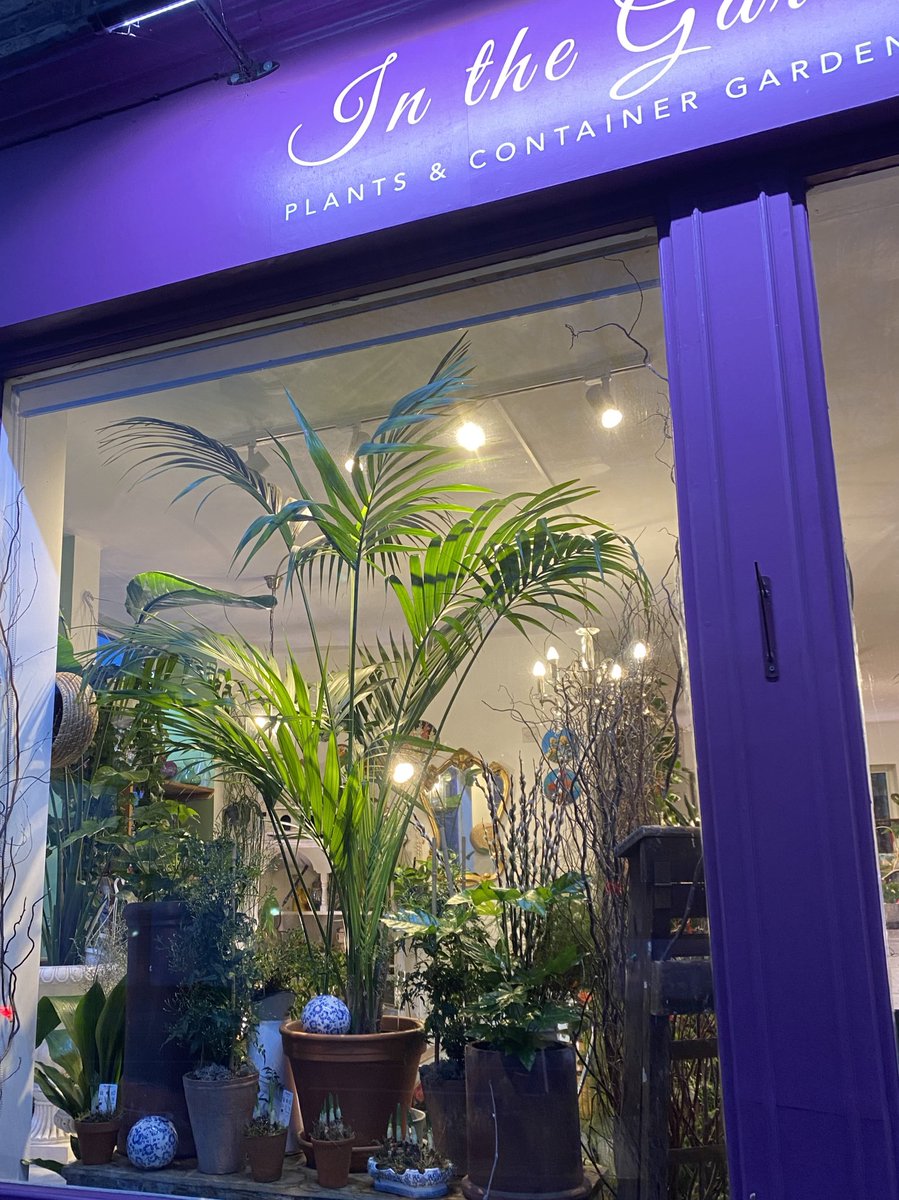 In2TheGarden's tweet image. It was great to be back today!
•
I was running around trying to get organised - I am definitely an organised chaos kinda gal! See you in the AM 😃
#creativemind #kentiapalm #shopwindow #terracotta #plantsandpots