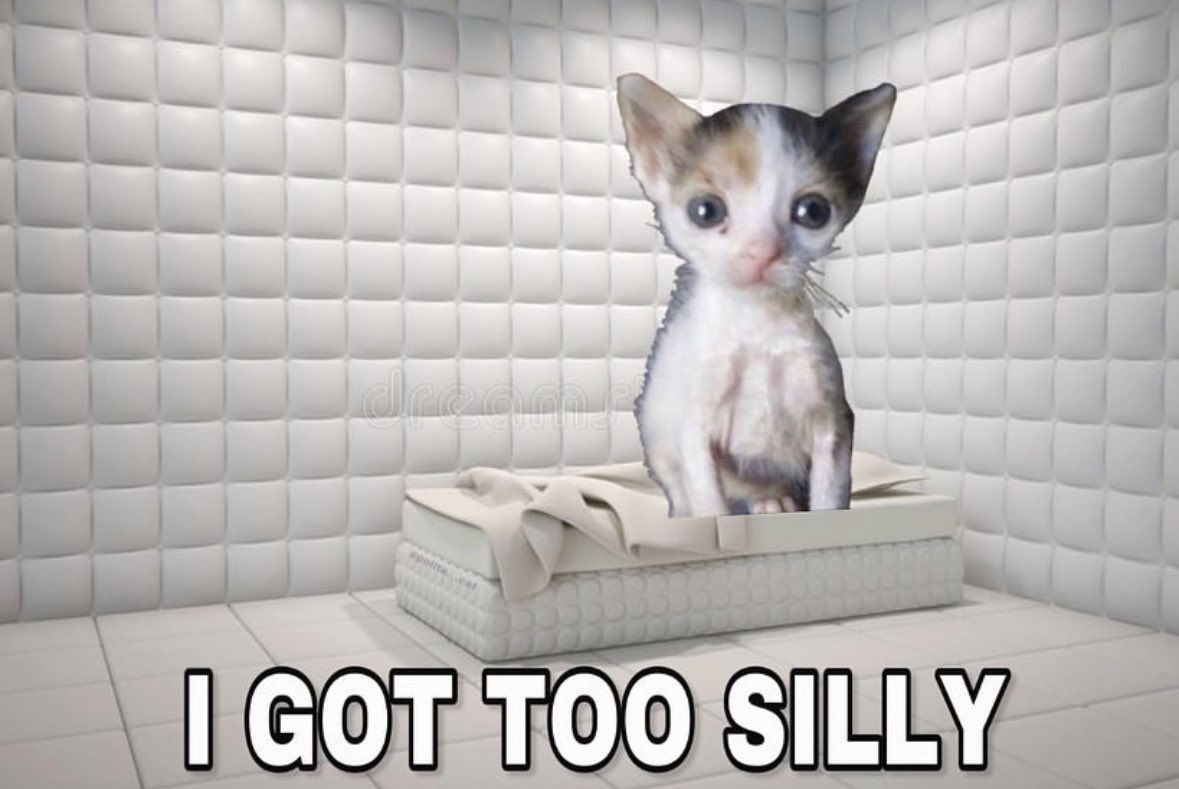 LiterallyMeCats (@literallymecats) on Twitter photo 