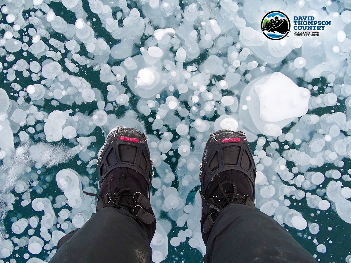 DTCountryAB's tweet photo. The Ice Bubbles of Abraham Lake, created as decaying plants release methane gas that is captured in ice. #AbrahamLake is a 32 km long reservoir on the #NorthSaskRiver W of #Nordegg in @ClearwaterCnty, #Alberta, #Canada, & is a lovely part of David Thompson Country. #DTCountry https://t.co/u8BA6rcvuV