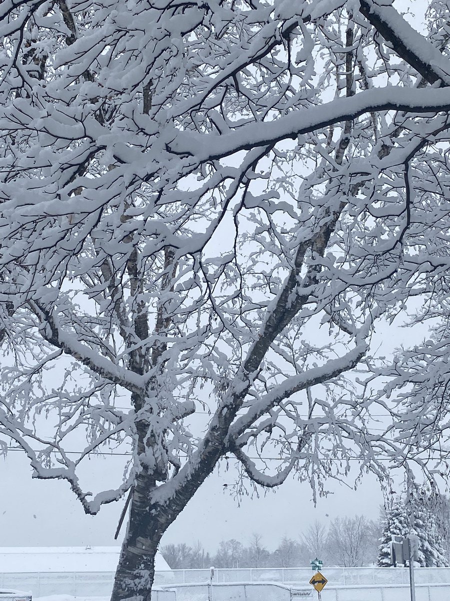 Denisesroots's tweet photo. Just another Minnesota snowstorm! thinking of my ancestors who came here from Oklahoma and built a tiny house with newspaper in the walls for insulation. Brrrrrrr…🥶❄️❄️⛄️#ancestors #stories #snowday https://t.co/RYNHLskKIE