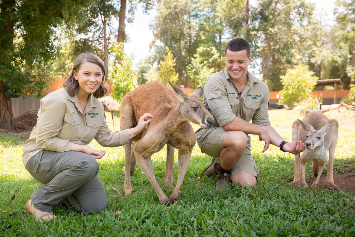 BindiIrwin's tweet photo. Have a cheat day because you know you’ll never be as ripped as gorgeous Theo the red kangaroo. https://t.co/cDeyX2U9zH