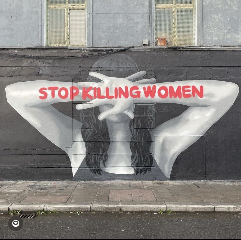 KatrinaMc_D's tweet photo. Their names are Natalie McNally and Bruna Fonseca and they were at home 💔

Artwork by @emmaleneblake https://t.co/DktNQ1p0U8