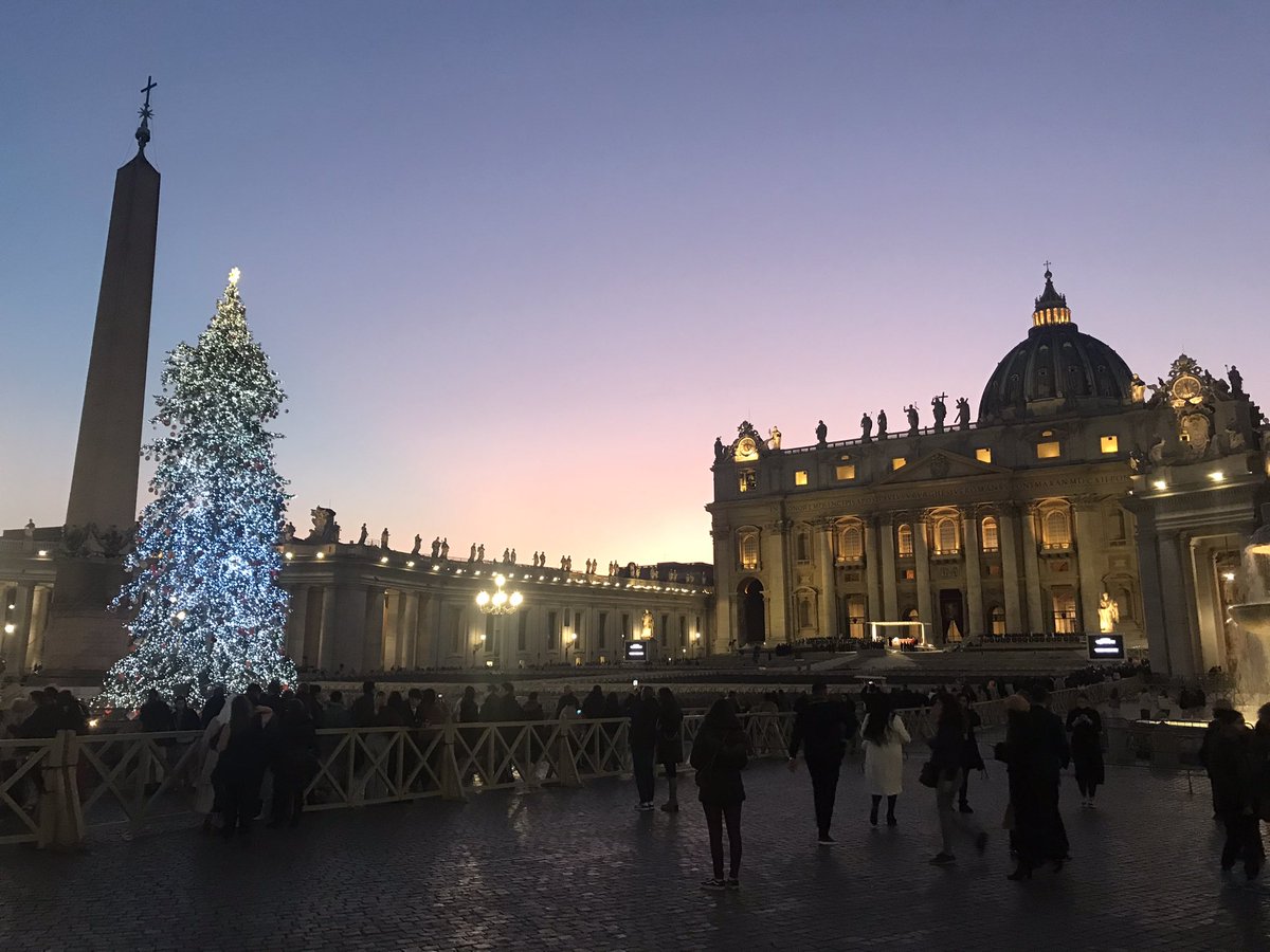 Hannah Roberts 🇬🇧🇦🇺🇮🇪🇮🇹🇪🇺 tweet media