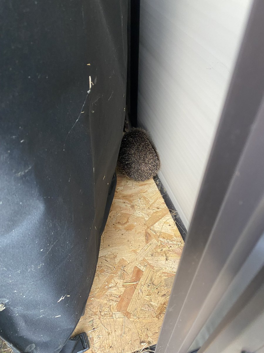 Simon C Page tweet media