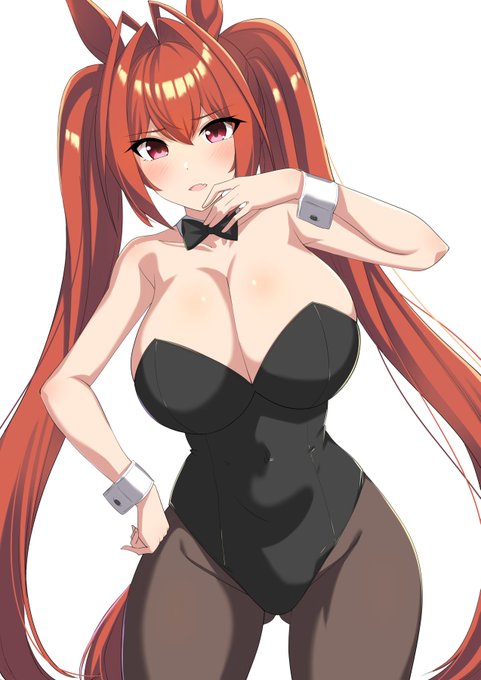 ダスカにバニーを着てもらわないと明日からの仕事に耐えられないから仕方がなかったなどと供述しており 