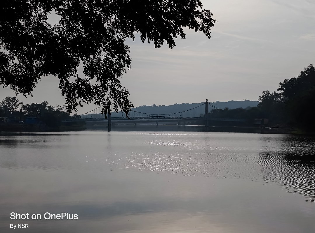 nikhil081191's tweet photo. Beautiful things don’t ask for attention.
#nature #NatureBeauty #NaturePhotography #OnePlus #landscape #landscapephotography #photographylovers #Bhopal https://t.co/bUrzcSgVGJ