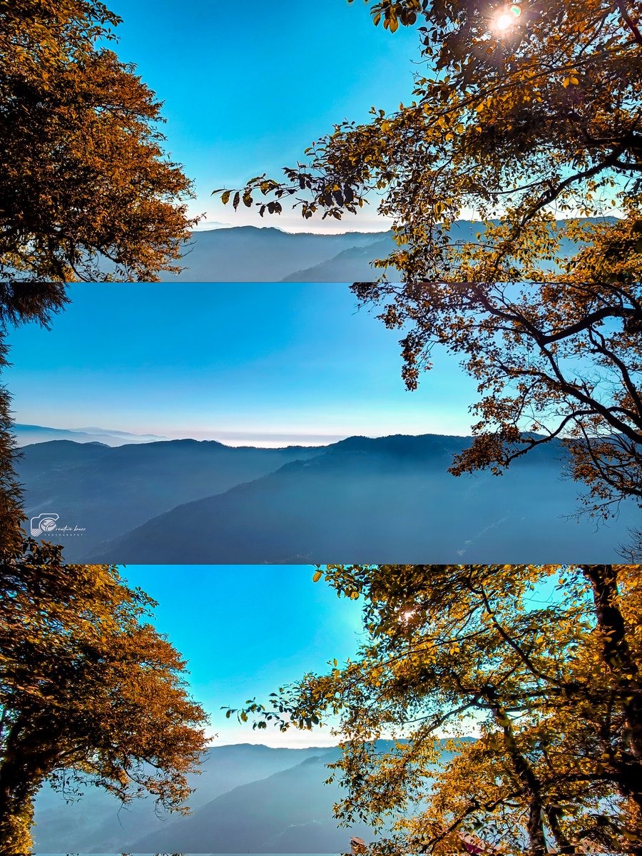 swagotomondal1's tweet photo. Morning at Darjeeling 🥹❤️✨

Link- https://t.co/SJ381V9irf

➡️ꜱʜᴏᴛ_ᴏɴ- @realmeindia (rєαlmє9prσpluѕ♥️)

➡️ᴇᴅɪᴛɪɴɢ_ᴀᴩᴋ- @lightroom (prσ🔥)

@Pindle_India #pindle #pindleindia
#pindlegems #sharewithpindle #shotonrealme #photography https://t.co/2x6aK92EaR