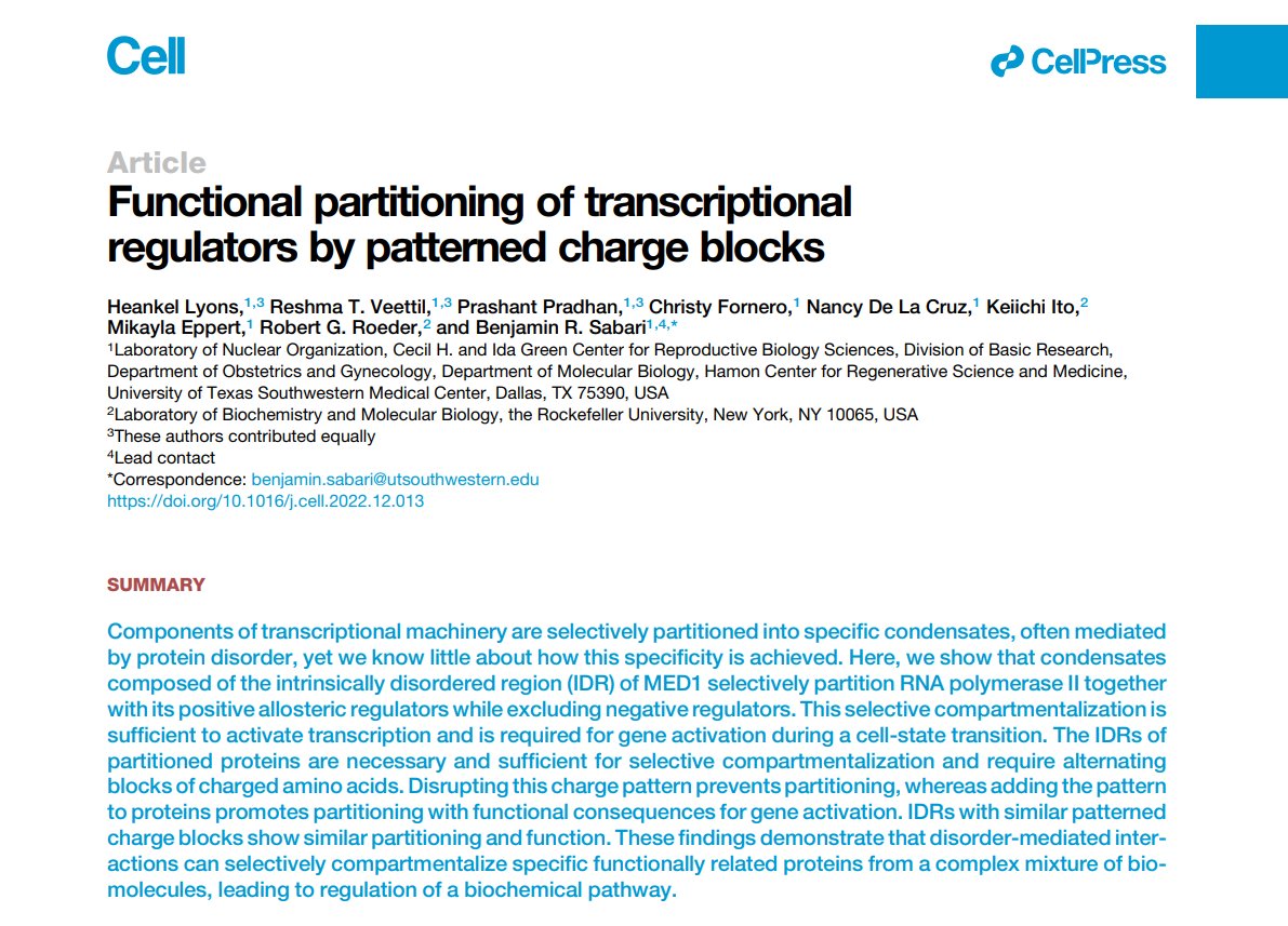 The first paper out of the newly established <a href="/bsabari/">Ben Sabari</a> lab, and it's a big one! 

Published in <a href="/CellCellPress/">Cell</a> "Functional partitioning of transcriptional regulators by patterned charge blocks" shows how the IDR of MED1 selectively partitions proteins cell.com/cell/fulltext/…