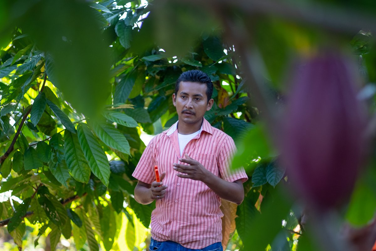 procacao's tweet photo. Luego de un breve descanso comenzamos el 2023 con energía y disposición para continuar desarrollando las distintas acciones que nos permitan fortalecer las capacidades de los productores y productoras de cacao de #Bonanza, #Rosita y #Siuna, en el caribe norte de #Nicaragua. https://t.co/SQfQr0IitK