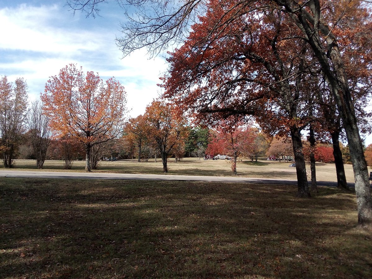 anonenvironment's tweet image. 