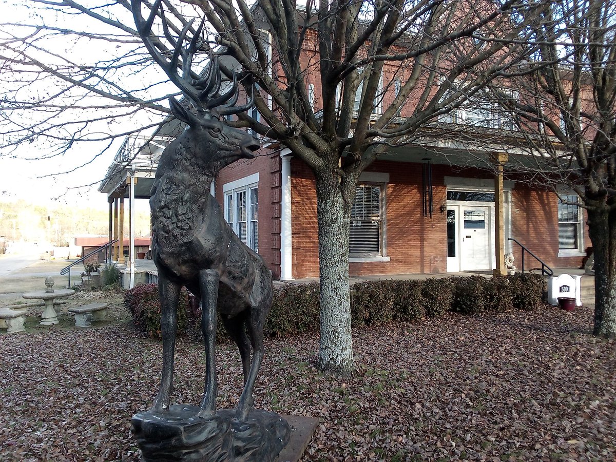 anonenvironment's tweet image. 