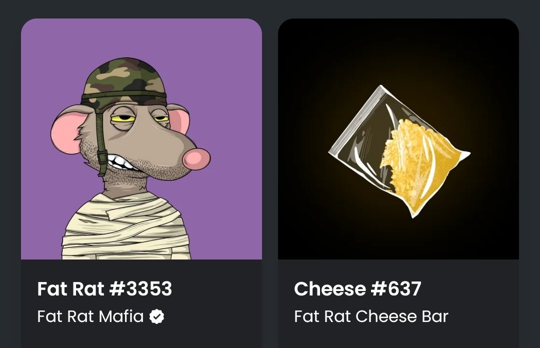 mafyila's tweet photo. Give a big welcome to our new Rat @halucinando !!!
Yesterday he bought a 🐀 &amp; 🧀

Today he created a Twitter just to see and be part off this amazing community @fatratmafia 

Show him the Power of the Sewers! 💚

#cheese #FatRatMafia https://t.co/1E6XR42f3J