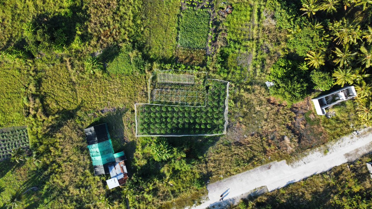 Yoohu 👻 tweet media