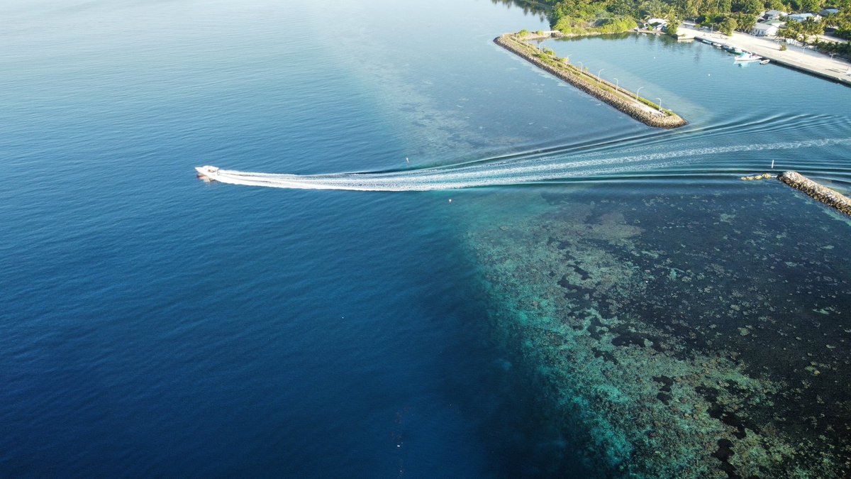 Yoohu 👻 tweet media