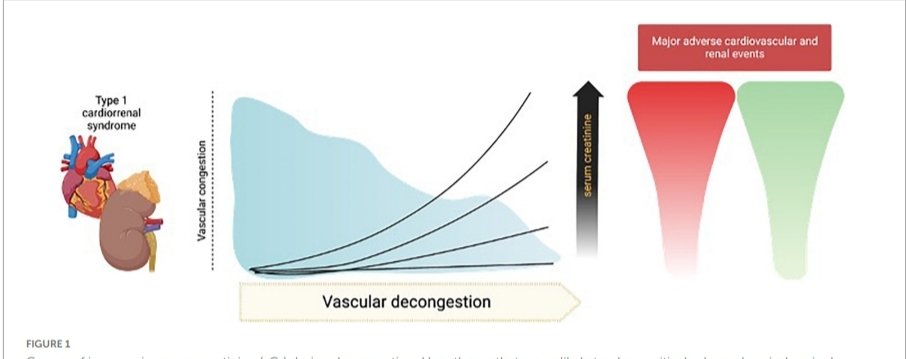 LeslieMegom's tweet photo. ➡️🆕️💥¿Cómo interpretar las elevaciones de creatinina sérica? en la descongestión en síndrome cardiorrenal.
https://t.co/0gENolrH85 https://t.co/lfW1g1XQLL