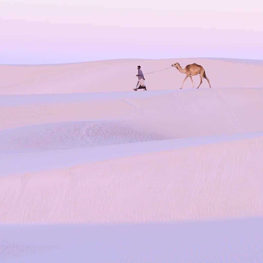 arab11__'s tweet photo. Socotra Island, Yemen https://t.co/ZL8BV17cTg