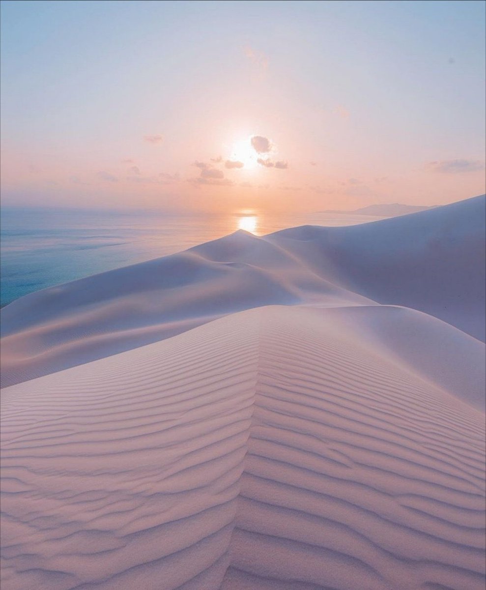 arab11__'s tweet photo. Socotra Island, Yemen https://t.co/ZL8BV17cTg
