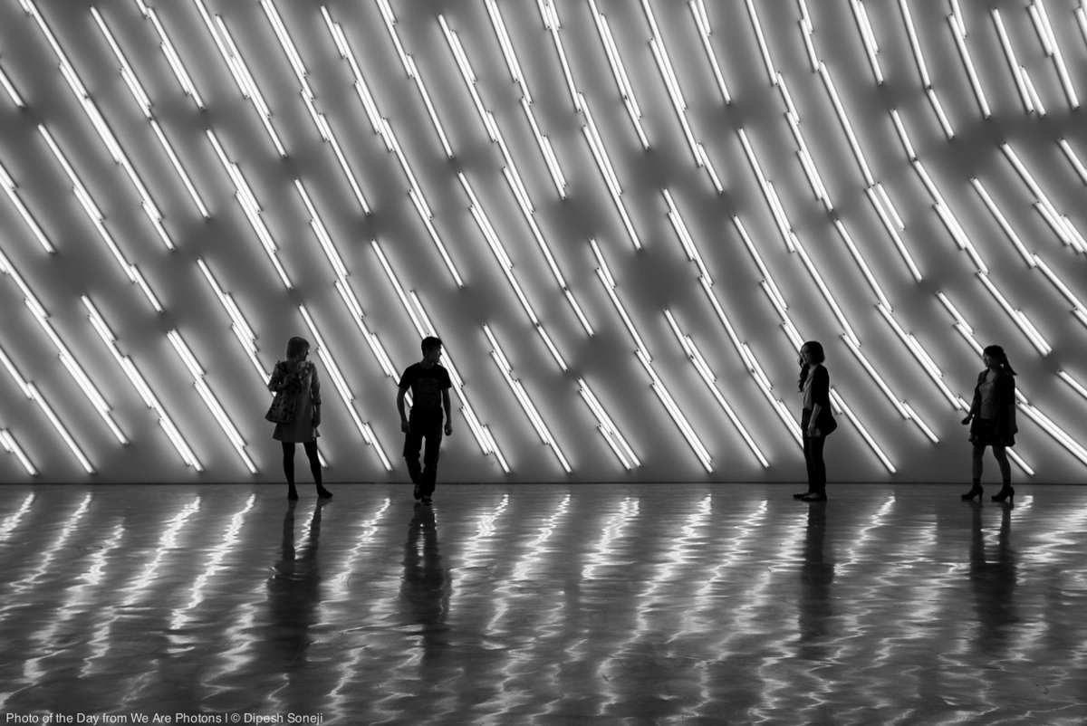 archillect's tweet image. 