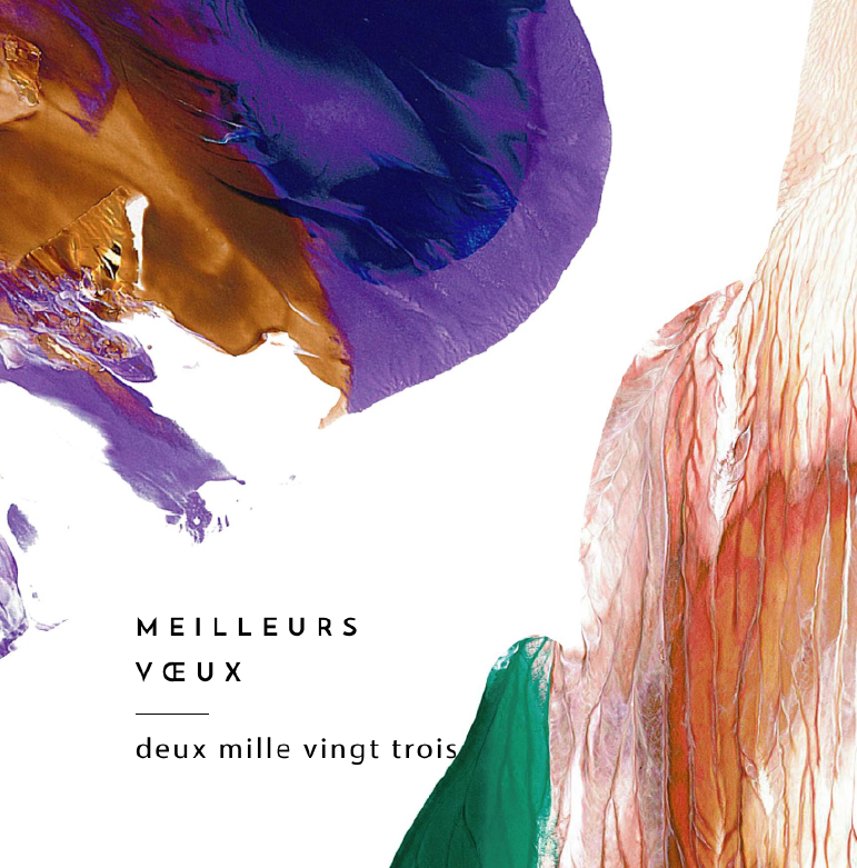 ⭐🌟 Toute l'équipe de l'ASPIM vous présente ses meilleurs voeux pour l'année 2023 !