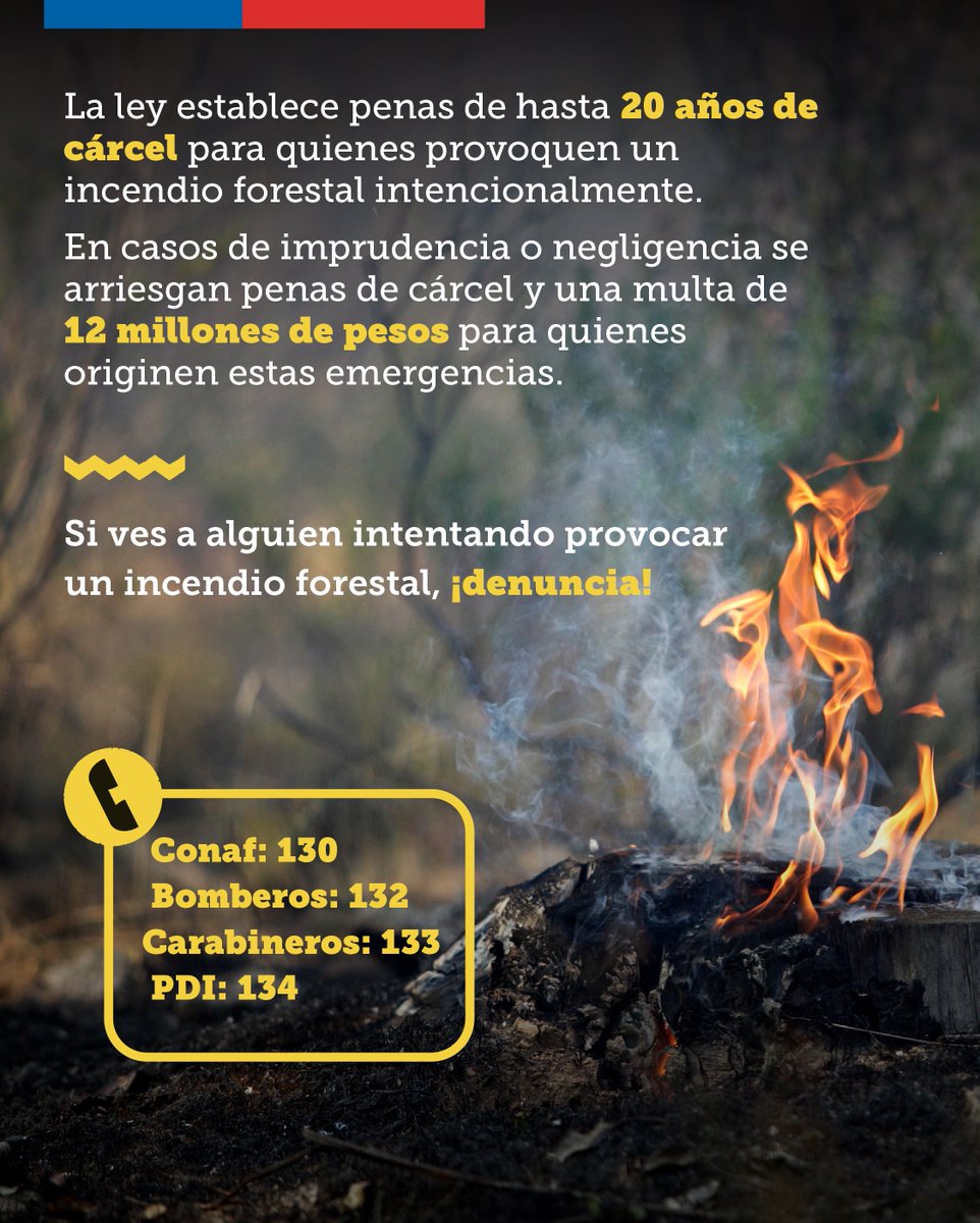 Vocería de Gobierno Coquimbo tweet media