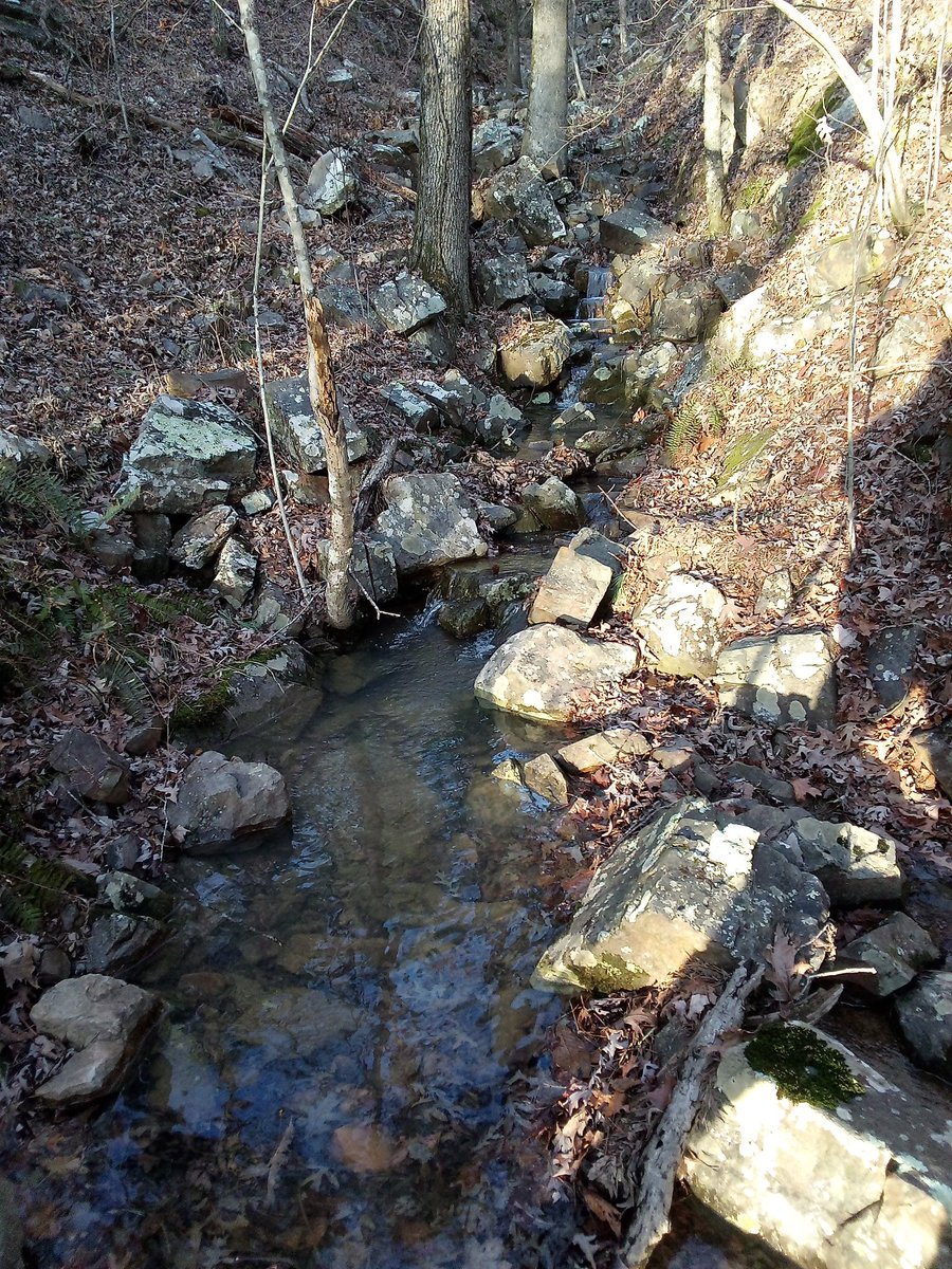 anonenvironment's tweet image. 