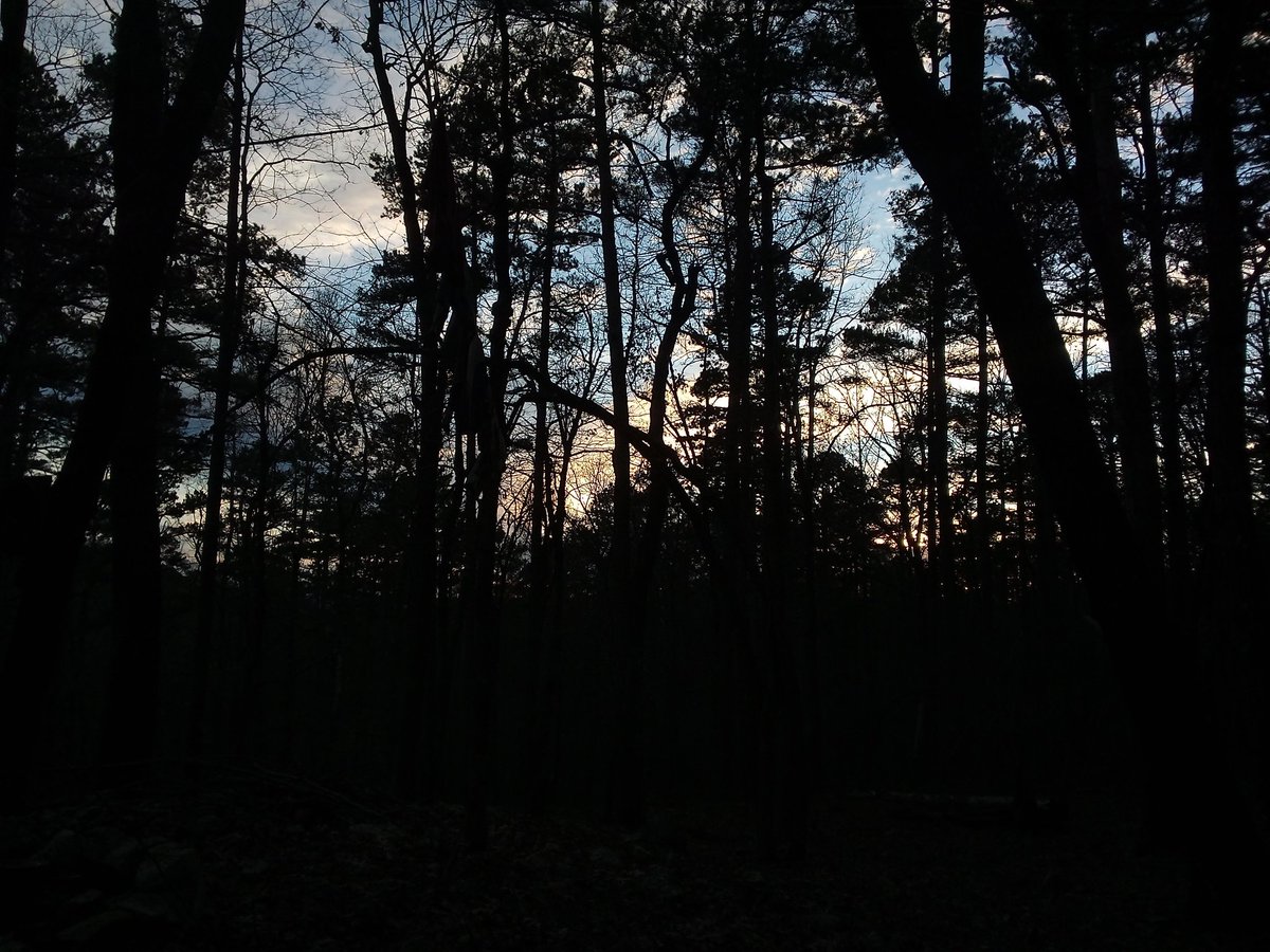 anonenvironment's tweet image. 