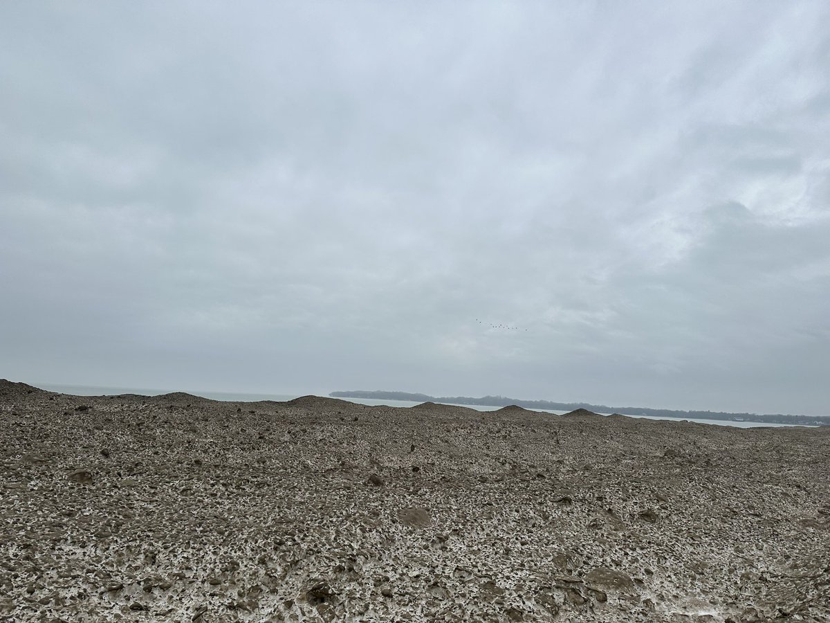 TraceySGrote's tweet photo. Bay Beach clean up happening. Sand | Snow mounds are high. #beach #CrystalBeach #forterie #baybeach #CleanUp https://t.co/O60CR70zTi