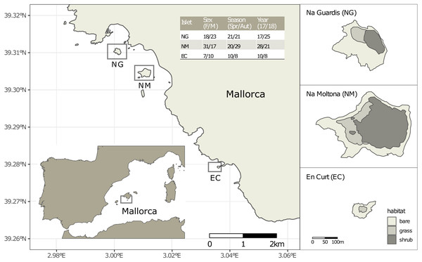 Insular holobionts: persistence and seasonal plasticity of the Balearic wall lizard (Podarcis lilfordi) gut microbiota - herpetologica.es/insular-holobi…