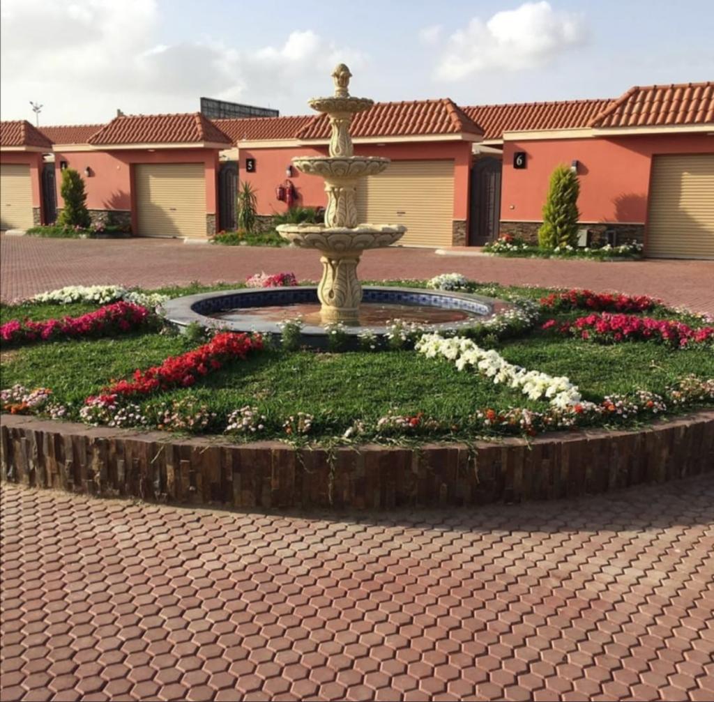 Landscape_raaz's tweet photo. شركة تنسيق حدائق بالرياض
تقدم الشركة افضل خدمات الحدائق العامه و المنزلية عن طريق افكار تنسيق حدائق متميزة باقل اسعار تنسيق حدائق
تنسيق حدائق فلل واستراحات
ديكورات حدائق
مظلات حدائق
عشب صناعي
عشب جداري
شلالات حدائق
نوافير
تكسيات خشب
تصاميم حدائق
للتواصل👇
https://t.co/RegqypEdQK https://t.co/4xpSLSlNoi