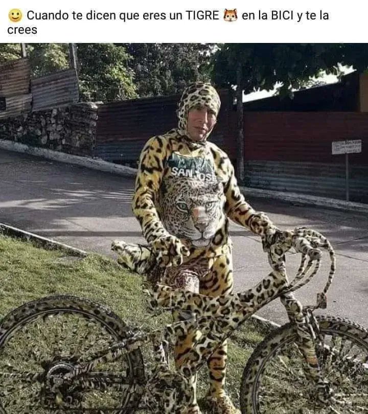 🇲🇽🌟🚲 ESTRELLA BIKERS🚲🌟🇲🇽

Seguro saldremos a rodar con nuestras cobijas de tigre!
*
*
*
*
*
#LaEstrellaBrillaMás
#DeIztapalapaParaElMundo #EstrellasSobreElCamino #LasCallesSonNuestras