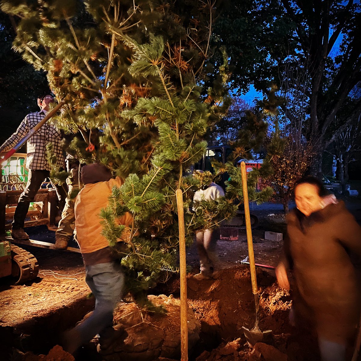 Planting day is always a blur. #landscapearchitecture #plantingdesign #plantingtrees #throwback