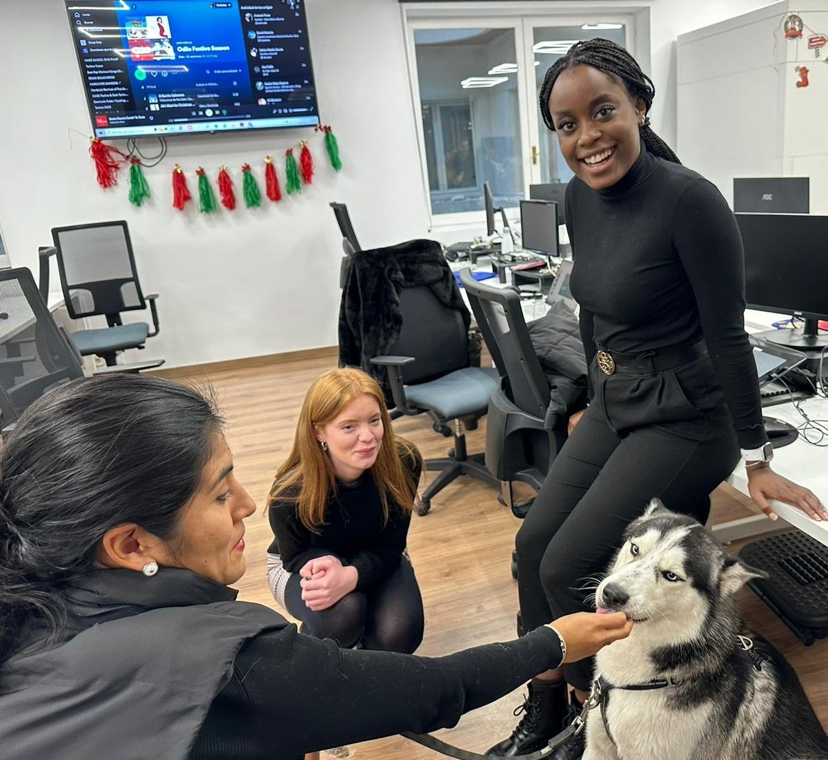 Letmino_ENG's tweet photo. Our doors are open! It's #FamilyDay at our offices in Madrid, a time we can share with the ones we love most! Families, friends, and pets too! #ODILOUnlimited #InsideODILO https://t.co/r7VZ3nNkgP