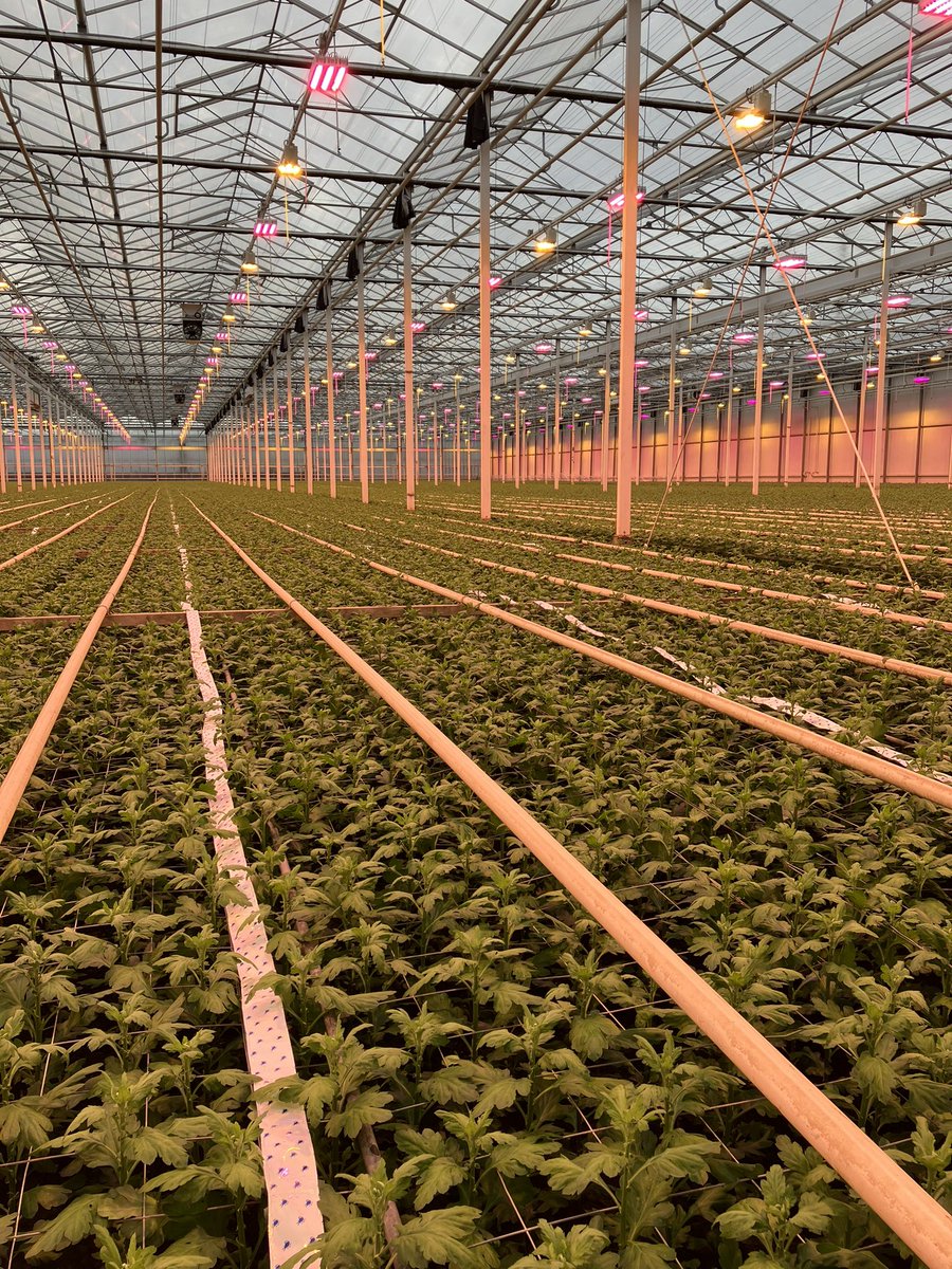 Richard van Spronsen tweet media