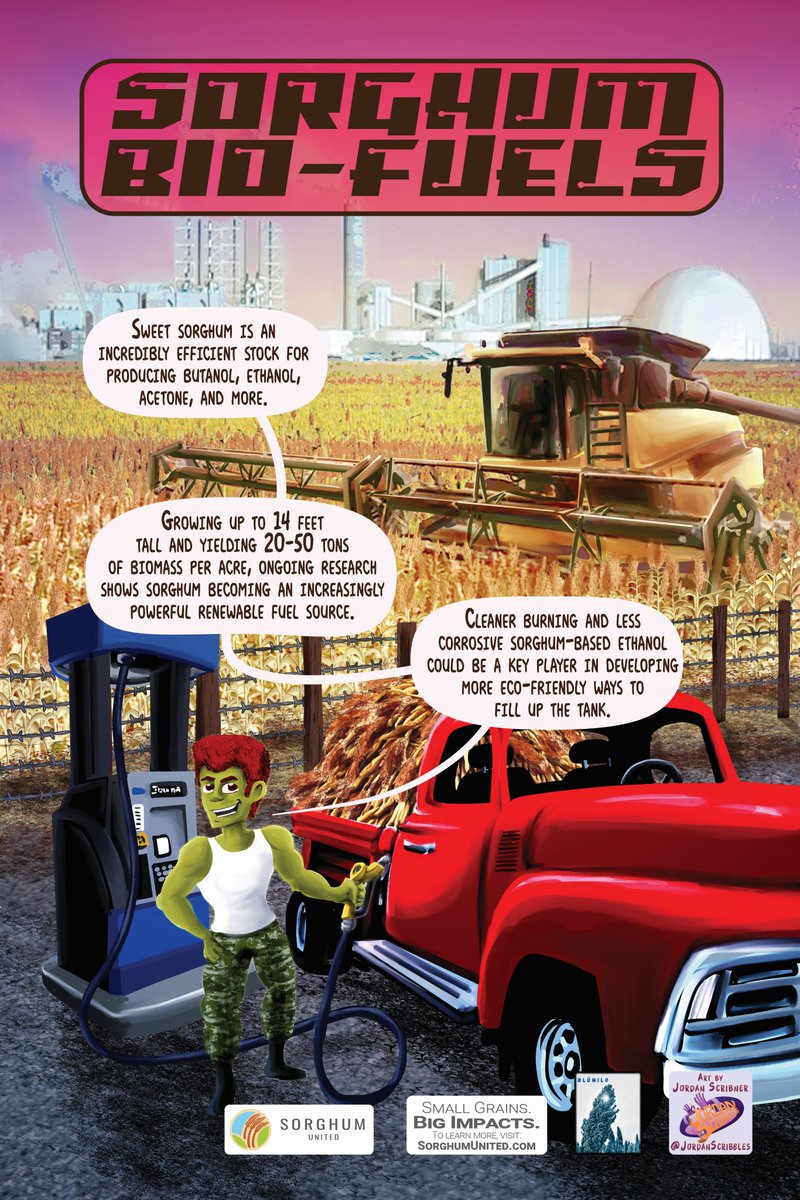 The importance of #climatesmart #sorghum for #food, #fuel, and #fiber is gaining recognition from the #government and #privatesector. #Investment in #droughtresistant and #watersmart #grains is growing as attention is placed on developing #diverse and #resilient #croppingsystems