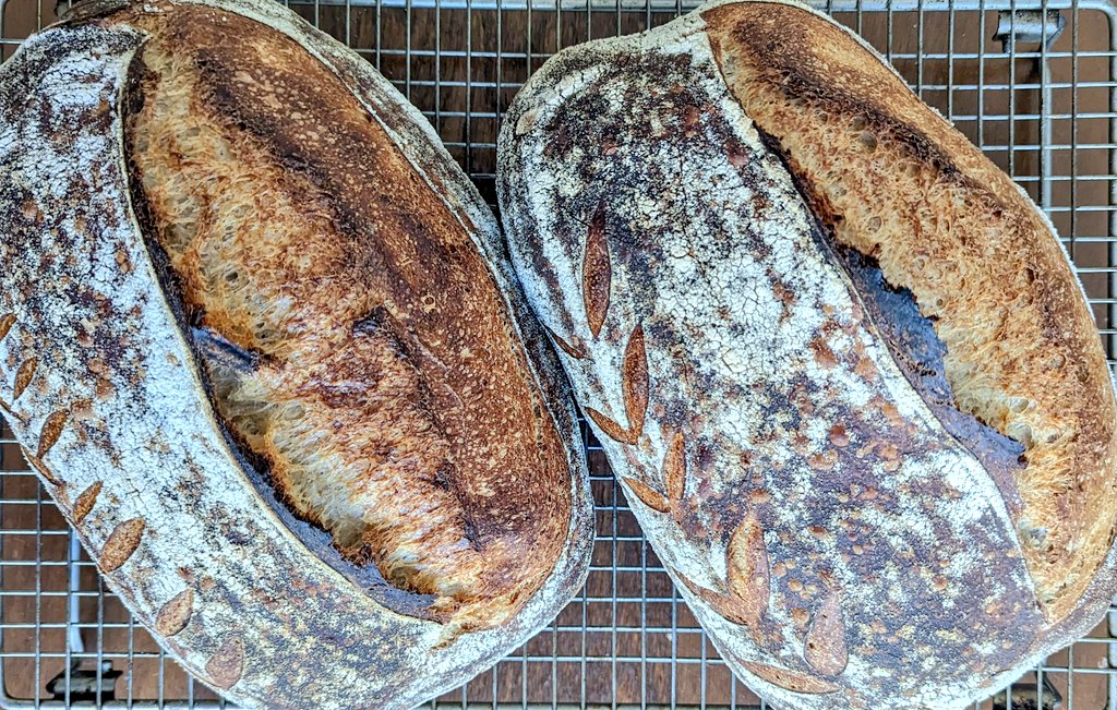 jakobhans's tweet photo. El alter ego ya horneó el pan de hoy para @_jacobogonzalez y @ricardgo404 ✨

Recuerden que si están en Guadalajara pueden pedir para recoger en Ciudad del Sol o que se las envíe por Rappi 🤍 https://t.co/UQzShcQdMd