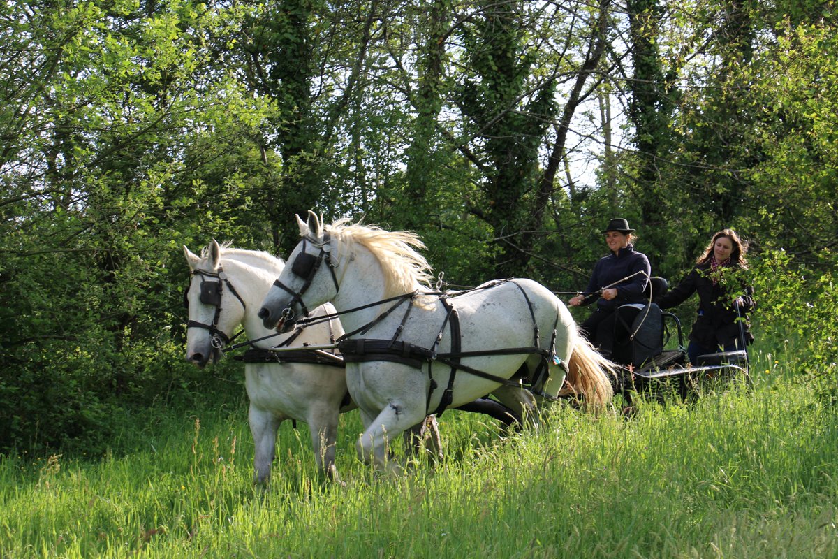 Parc naturel régional du Perche tweet media