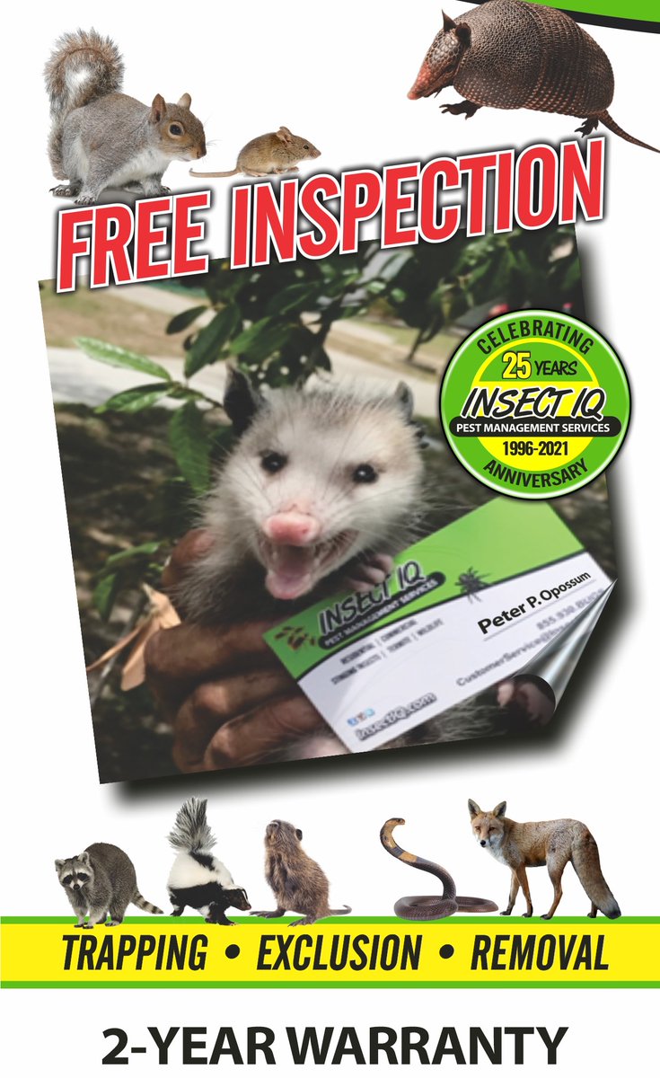 IQBeeRemoval's tweet photo. How do I identify scat? AKA POOP. Here’s the solution to your problem.
 Click here for more SKAT info: https://t.co/IduXIiu8l7

  #insectiq #pestcontrol #lawncare #wildlife #fullservicepestconrol #nutrilawn  #RATPOOP #DROPPINGS #MICEPOOP #POOP #droppings https://t.co/YOnNVCRs7g