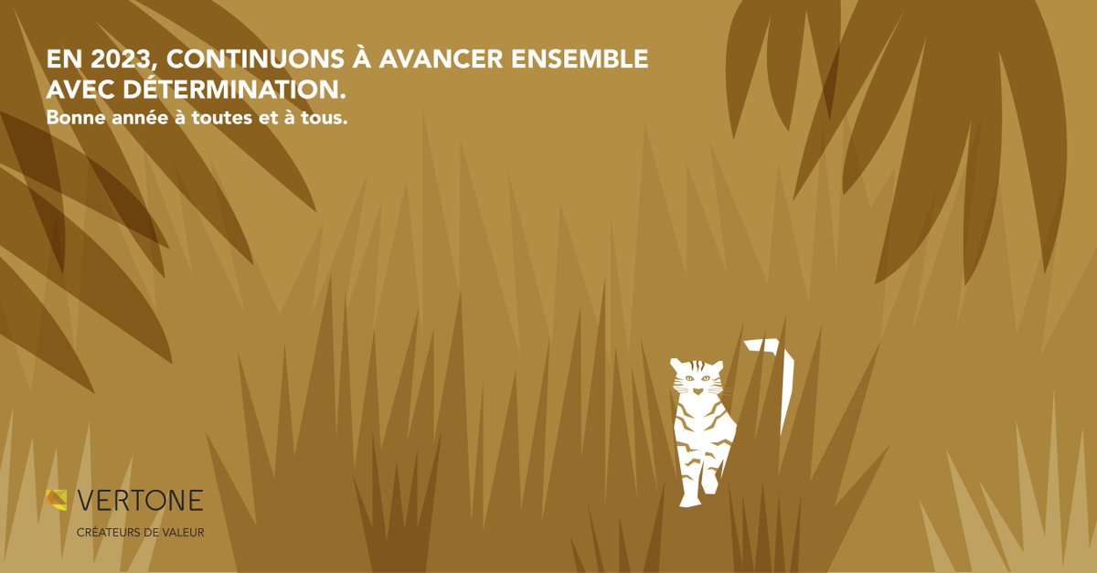 Toute l'équipe VERTONE vous souhaite une très belle et heureuse année 🎉
#VertoneConseil #newchallenge #newproject #détermination