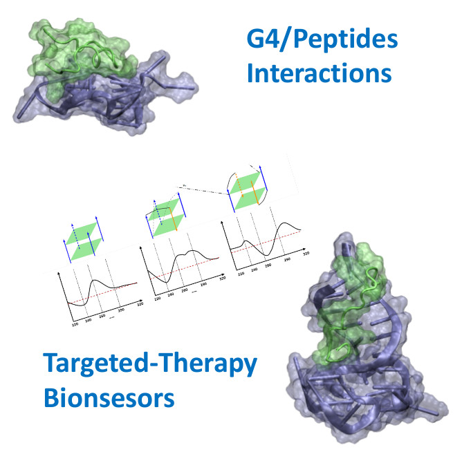 Antonio Monari (@antoniomonari) on Twitter photo First #2023 everything on #G4 peptide interactions #compchem & more for targeted #therapy #biosensors <a href="/ChemBioChem/">ChemBioChem</a> <a href="/univ_paris_cite/">Université Paris Cité</a> <a href="/ItodysC/">The CTM Group</a> <a href="/ITODYS_lab/">ITODYS Lab</a> <a href="/BIP_BioInorgPa/">Bioinorganic Unipa</a> <a href="/Al3XI0/">alex marticio</a> @DrEmmaBignon <a href="/baronegiampaolo/">Giampaolo Barone</a> <a href="/lpct_ul/">LPCT</a> <a href="/Labo_CRAN/">CRAN</a> <a href="/AuraneFroux/">Aurane Froux</a> <a href="/LuisaDAnna797/">Luisa D'Anna</a> …mistry-europe.onlinelibrary.wiley.com/doi/10.1002/cb… First #2023 everything on #G4 peptide interactions #compchem & more for targeted #therapy #biosensors <a href="/ChemBioChem/">ChemBioChem</a> <a href="/univ_paris_cite/">Université Paris Cité</a> <a href="/ItodysC/">The CTM Group</a> <a href="/ITODYS_lab/">ITODYS Lab</a> <a href="/BIP_BioInorgPa/">Bioinorganic Unipa</a> <a href="/Al3XI0/">alex marticio</a> @DrEmmaBignon <a href="/baronegiampaolo/">Giampaolo Barone</a> <a href="/lpct_ul/">LPCT</a> <a href="/Labo_CRAN/">CRAN</a> <a href="/AuraneFroux/">Aurane Froux</a> <a href="/LuisaDAnna797/">Luisa D'Anna</a> …mistry-europe.onlinelibrary.wiley.com/doi/10.1002/cb…