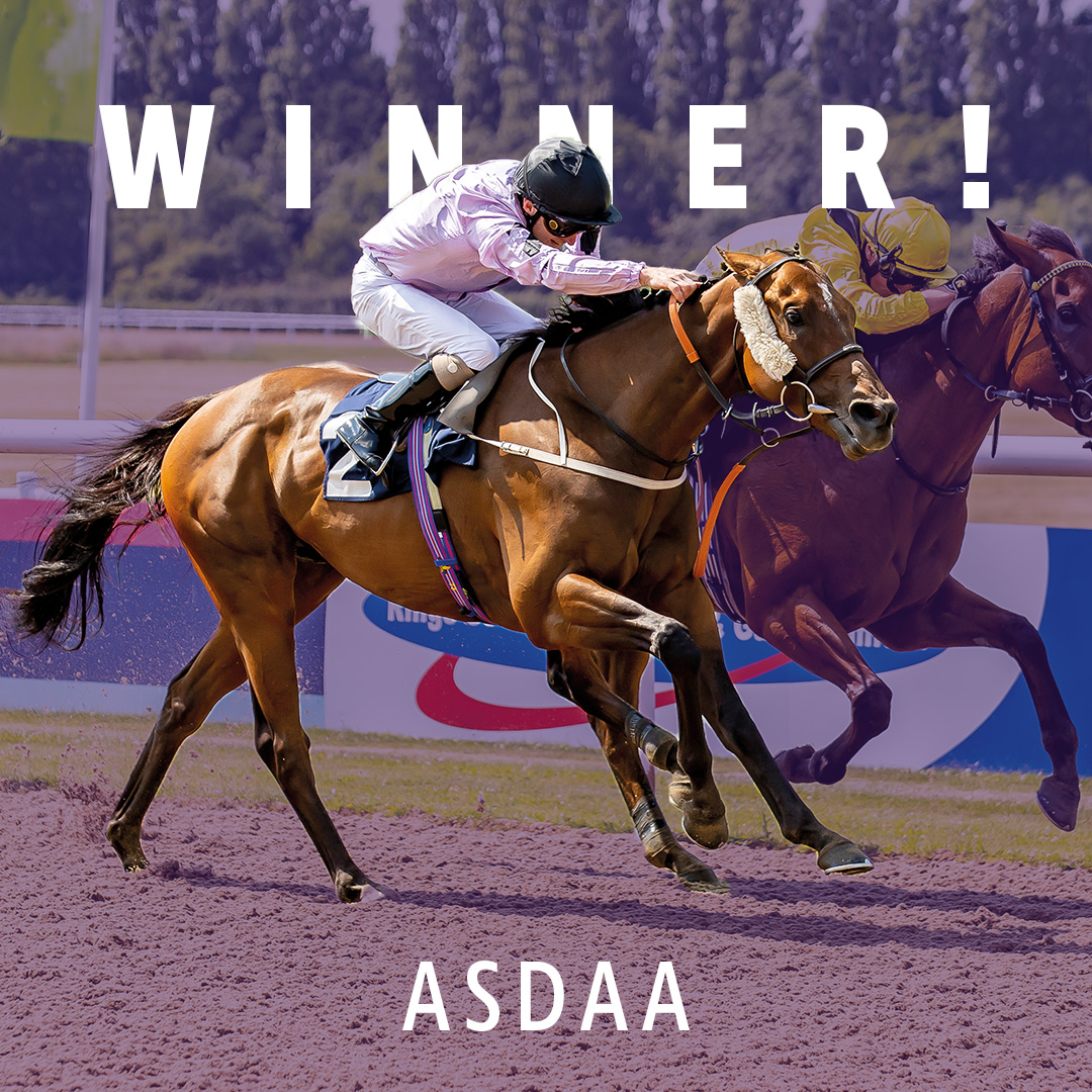 ownersgroupuk's tweet photo. Asdaa wins again for his delighted owners, winning at Kempton for @Johnston_Racing, under jockey Jack Mitchell. This is his seventh win for his proud owners.  🚀🥇#Asdaa #OwnersGroup https://t.co/DgDacat5m3