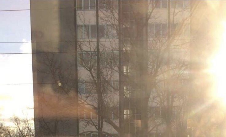 ㅡ🌲☃️ winter morning strolls with park jimin