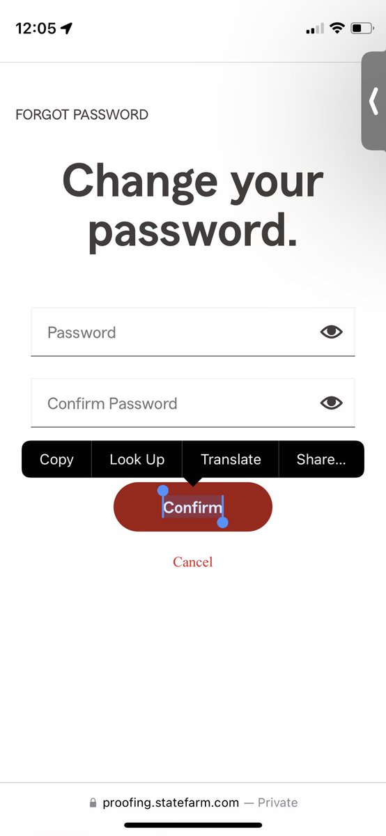 MingleMolly's tweet photo. @StateFarm Why is it that every time I try to change my password that confirm button isnt real? Nothing happens when I click on it. It is just a picture. I have tried on Safari, Chrome, and Edge. I just want to log in and update my miles. https://t.co/BVozh8HLIq