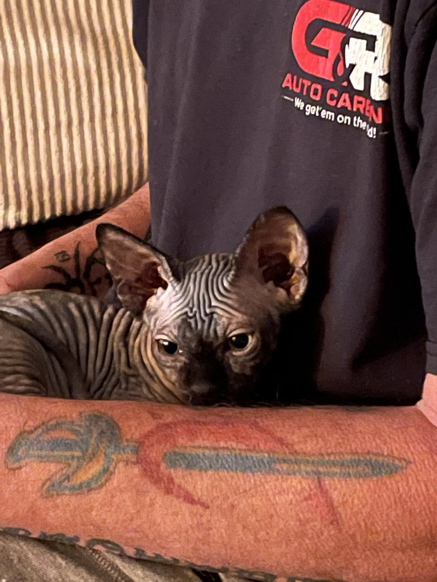 brettfuller43's tweet photo. @_bigjayy_ our new family member!! VOODOO JA (Jarrett Allen). 😂😂  #cavsfanforlife @MarnieMac19 https://t.co/LYVOwLGTfe