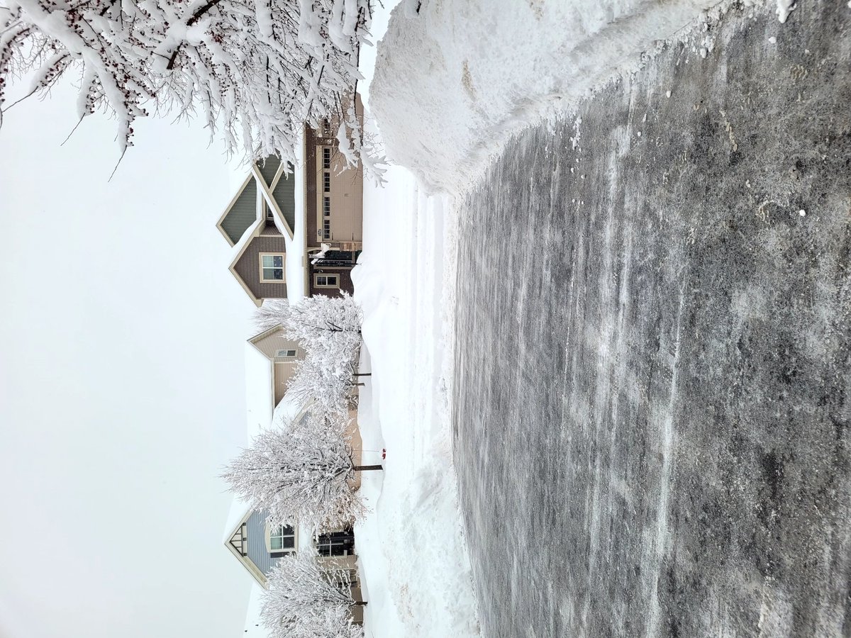 Who's idea was it to move back to the Midwest @ISUPanda?