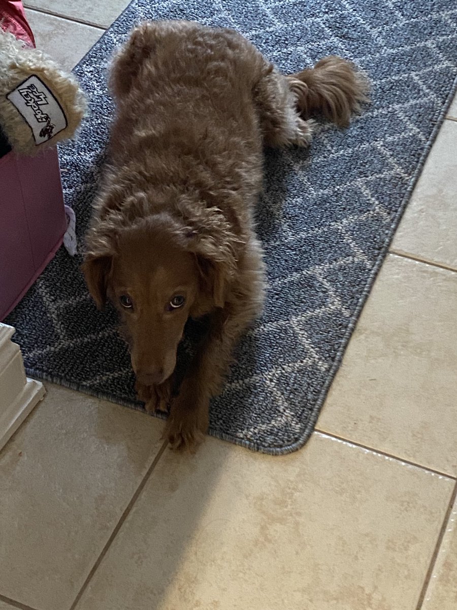 Sarika Henry OCT/OPC tweet media