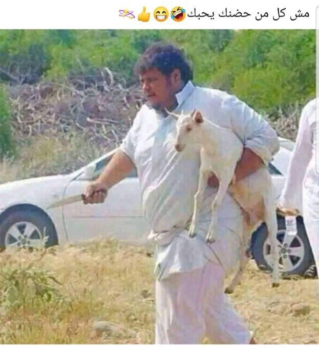 koatr50's tweet photo. #وادي_الرمه https://t.co/UDRyBqpvjt