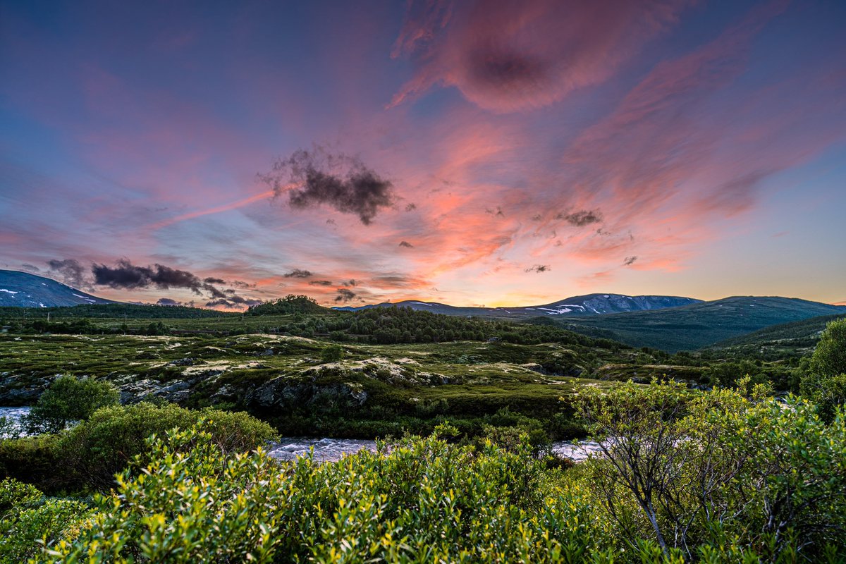 Je_Hofmann's tweet image. #dovrefjell @visitnorway