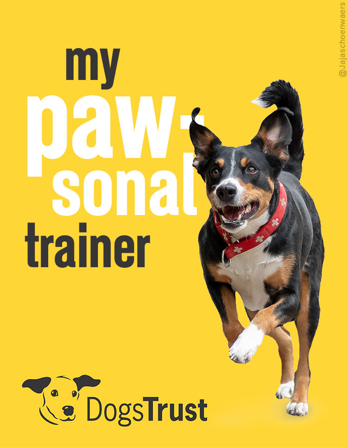 Jajaschoenwaers's tweet photo. Create posters to advertise #PersonalTrainers #Gym #PT 🖌️👟 @OneMinuteBriefs @DogsTrust https://t.co/yJJ8U8Vtjo