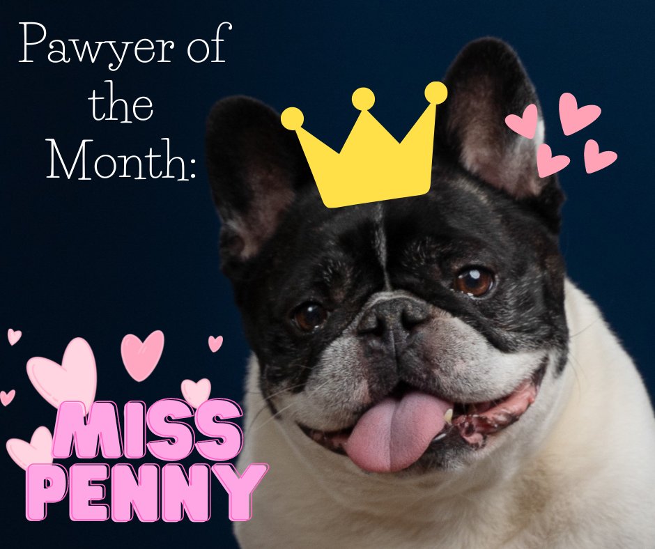 CharlesBoykLaw's tweet image. Our very first Pawyer of the Month goes to Miss Penny! (Look at that smile, how could we not??) Penny works hard every day to bring smiles to every one of her coworkers, and she never disappoints! 🥰 Thanks for everything you do, Penny!
 #workshard #penny #smile #coworkers